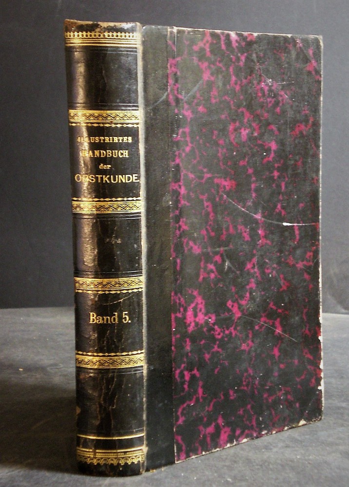 Illustrirtes Handbuch der Obstkunde. Fünfter Band: Birnen (1866)