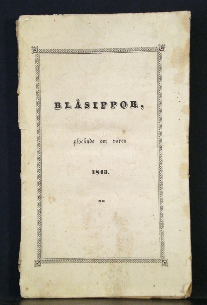 Johan Henrik Lundmark Blåsippor, plockade om våren 1843
