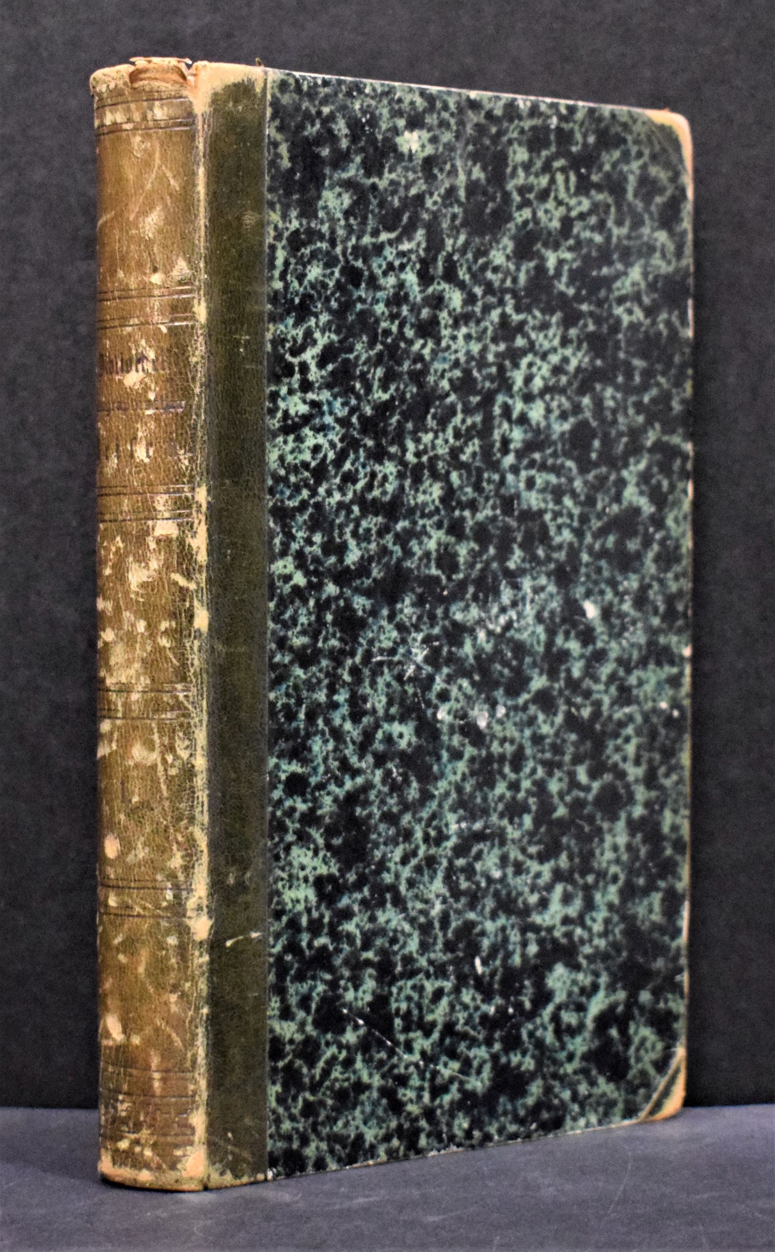 Das offene Polar-Meer. Eine Entdeckungsreise nach dem Nordpol (1868)