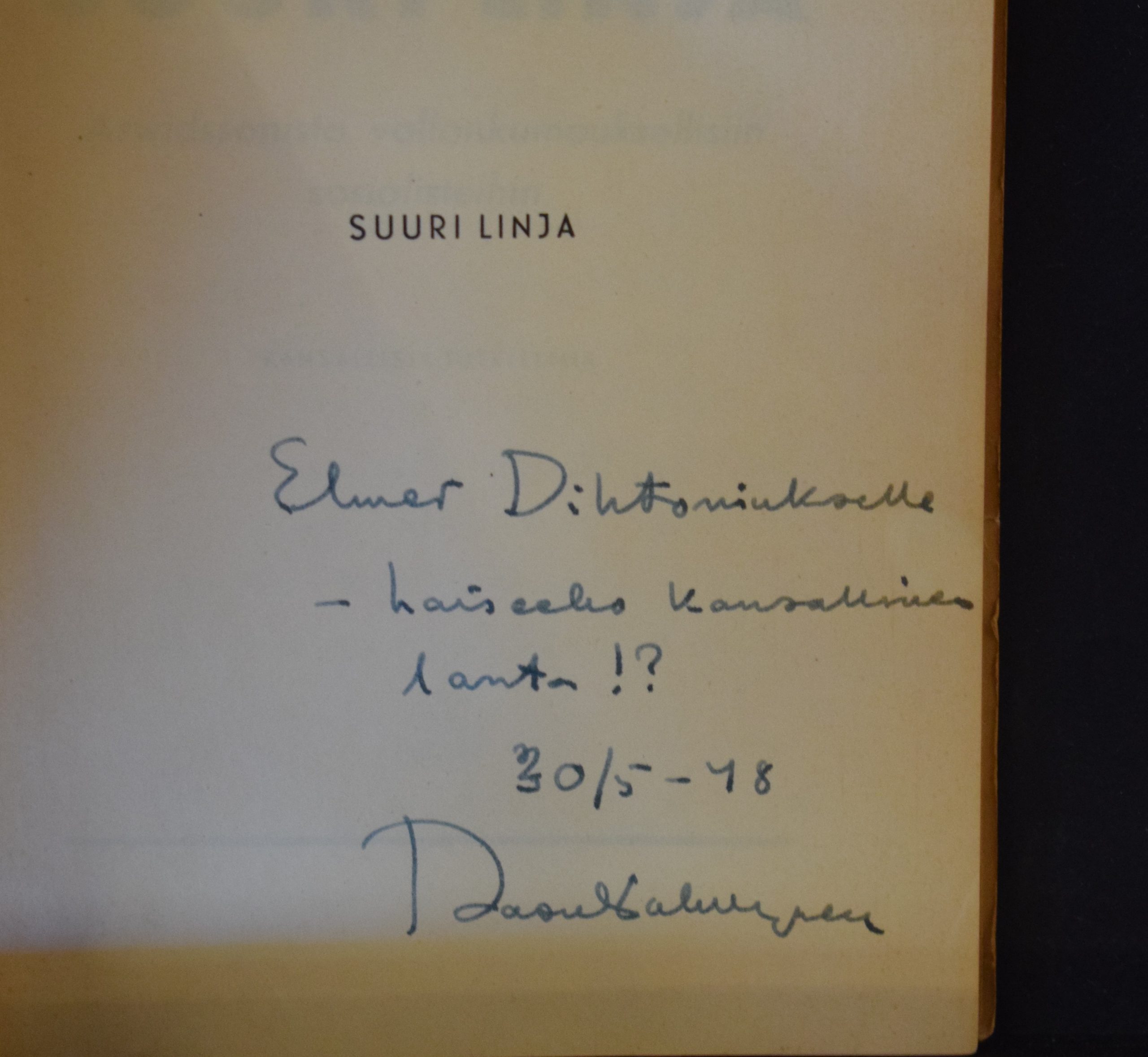 Palmgren, Raoul: Suuri linja (omiste) - Image 2