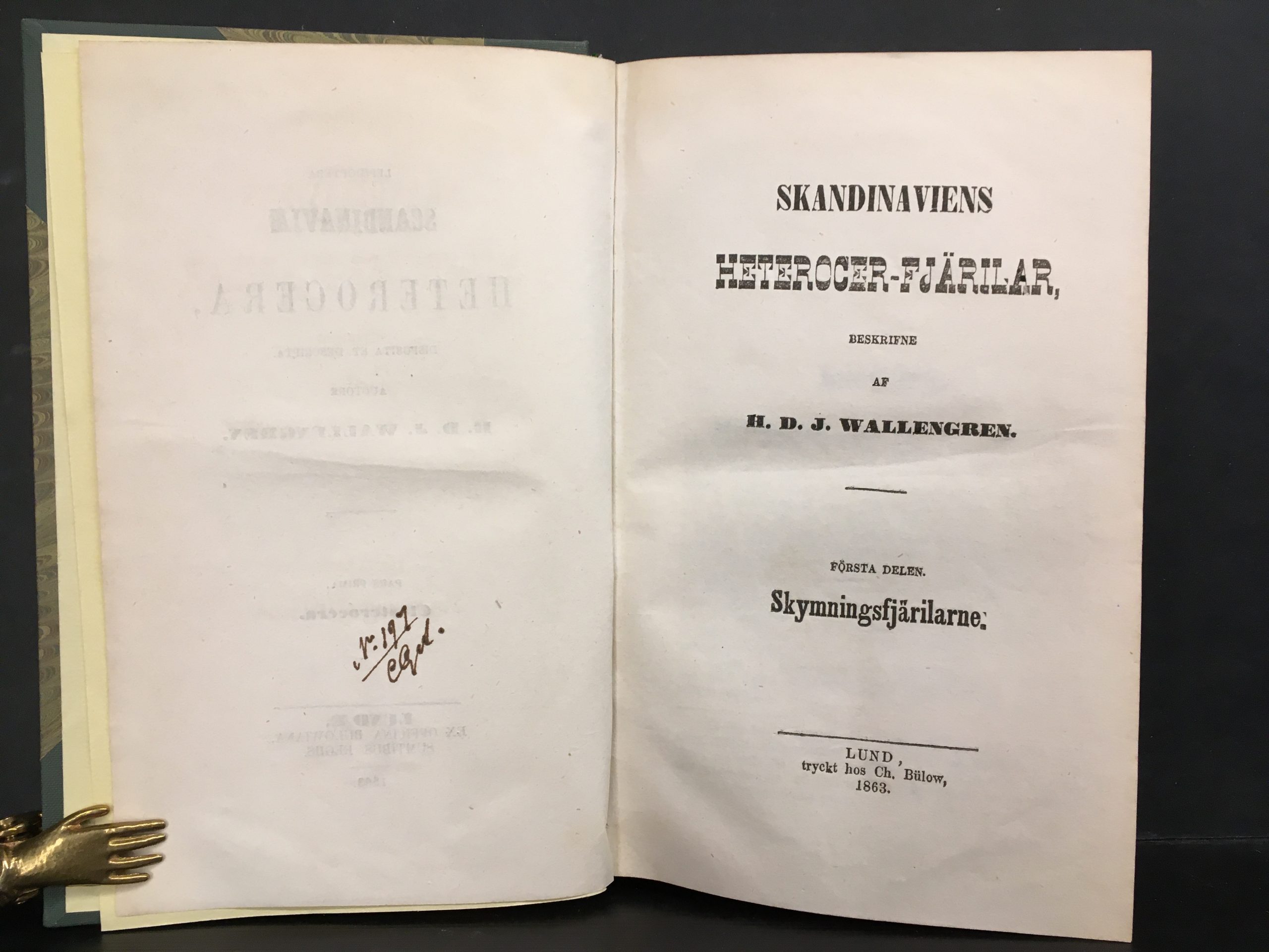 Wallengren, H. D. J.: Skandinaviens Heterocerfjärilar: I. Closterocera II. Spinnarna (1863) - Image 2